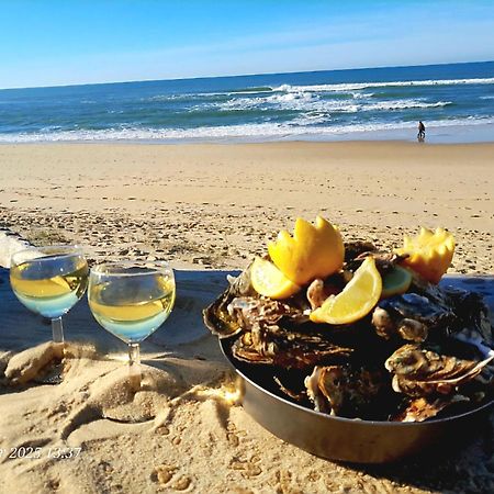 Les Bord'Oceanes Sauna & Spa Villa Marensine Et Villa Oyat วิแอล-แซ็งต์-ฌีรงส์ ภายนอก รูปภาพ